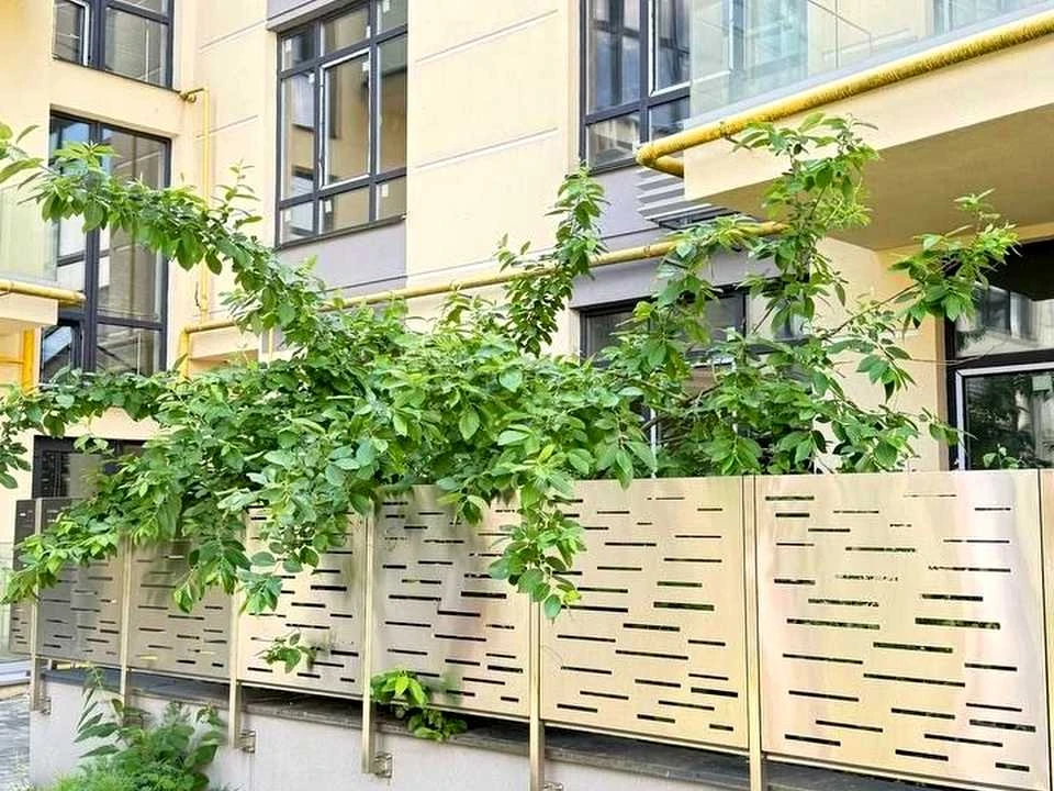 Квартира. Київ, Дубищанська вулиця