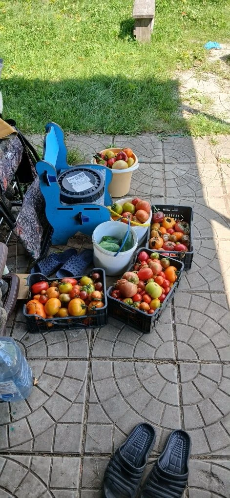 Продам дачу в дачному кооперативі