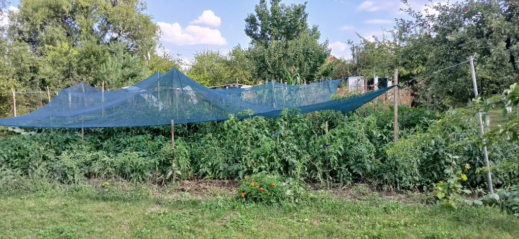 Продам дачу в дачному кооперативі