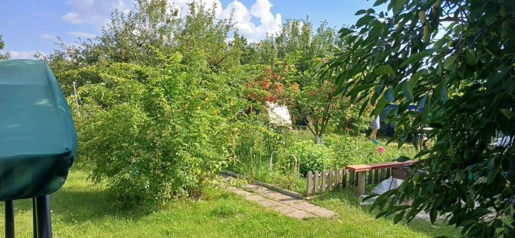 Продам дачу в дачному кооперативі