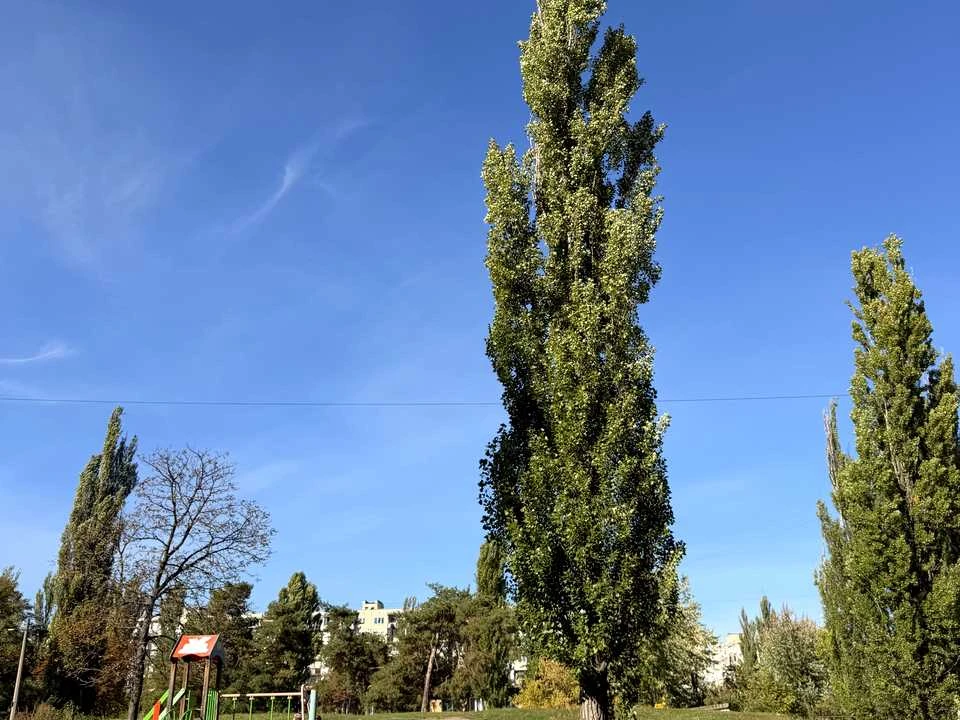 Квартира. Київ, Мілютенка вул.