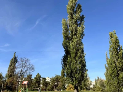 Квартира. Київ, Мілютенка вул.