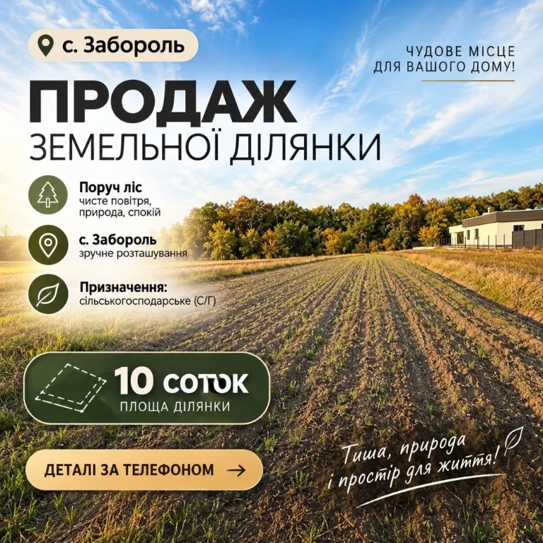 Продажа земельного участка вблизи Луцка в Забороле
