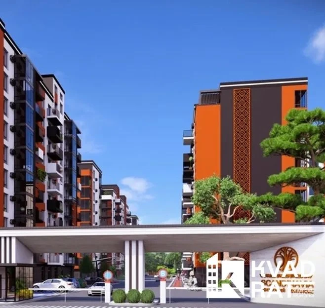 Great Deal: One-Bedroom Apartment in the City Center!
