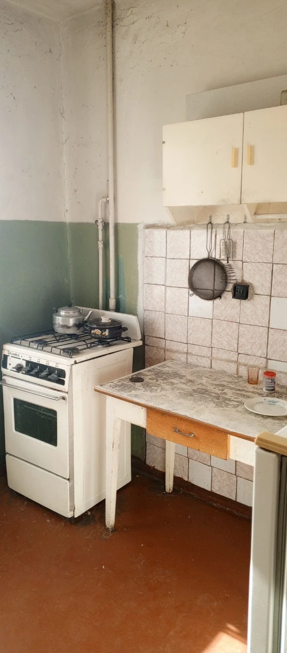 Two-bedroom apartment on Reagan Street (Drizera)