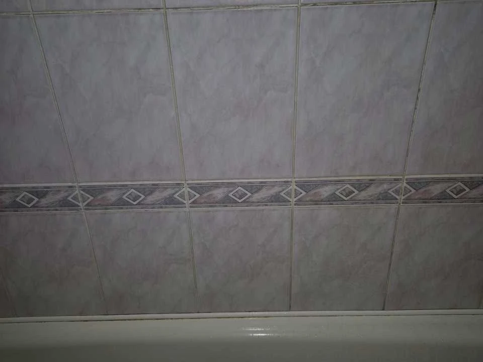 Apartment. Zaporizhzhia, Saint Nicholas Street