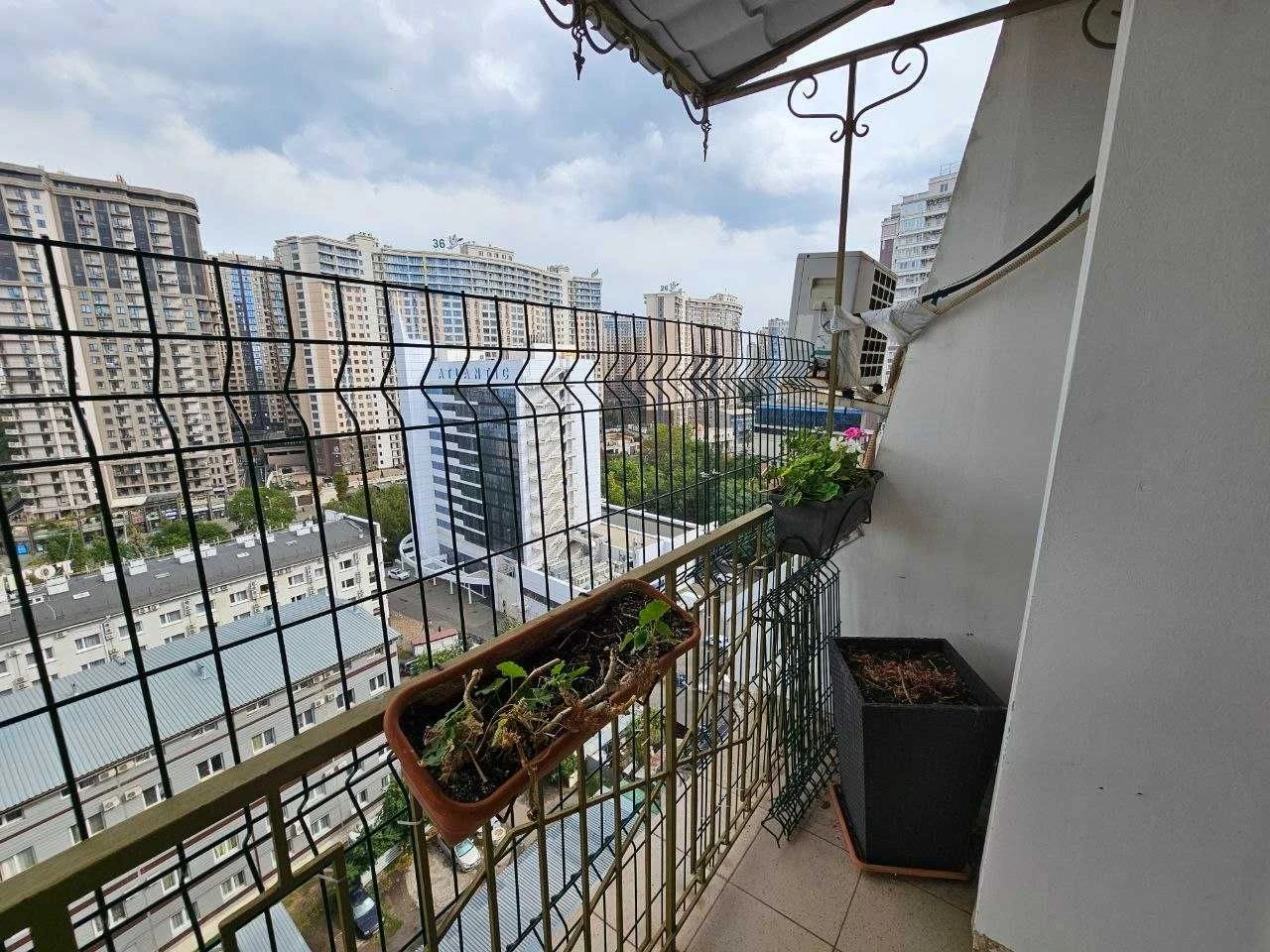 Cozy 4-room apartment in Arcadia. Sunny/Shady. Park