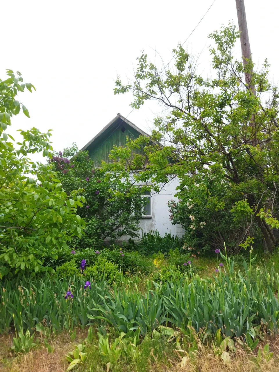 House in the city of Mykolaiv (Korabelny district)