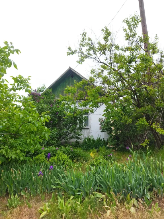 House in the city of Mykolaiv (Korabelny district)