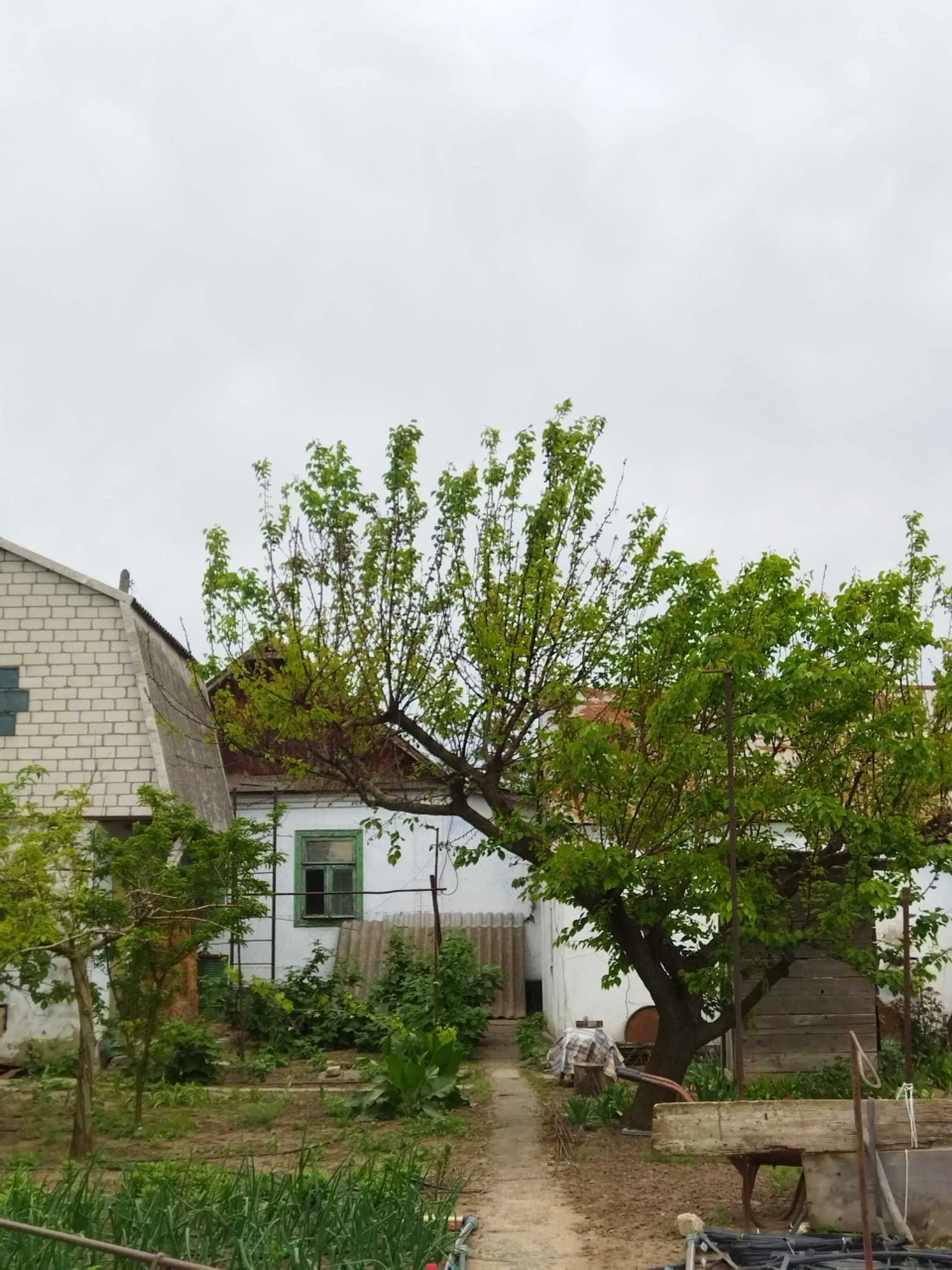 House in the city of Mykolaiv (Korabelny district)