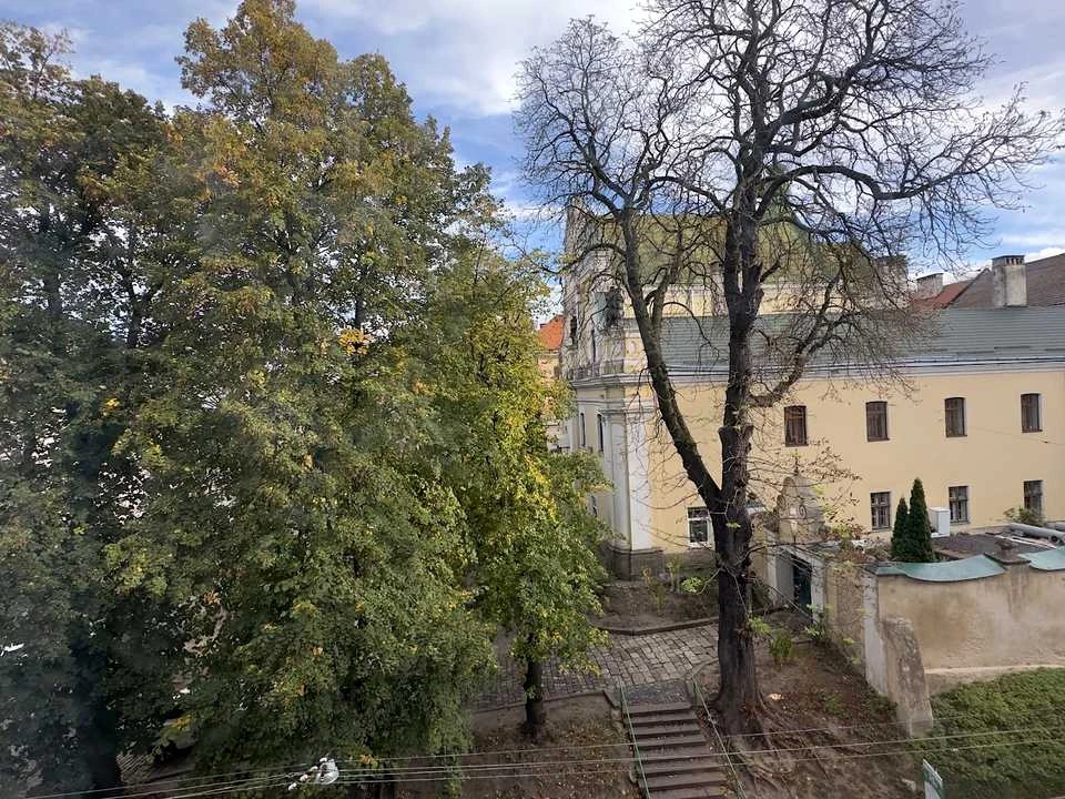 Квартира. Львів, вулиця Михайла Драгоманова