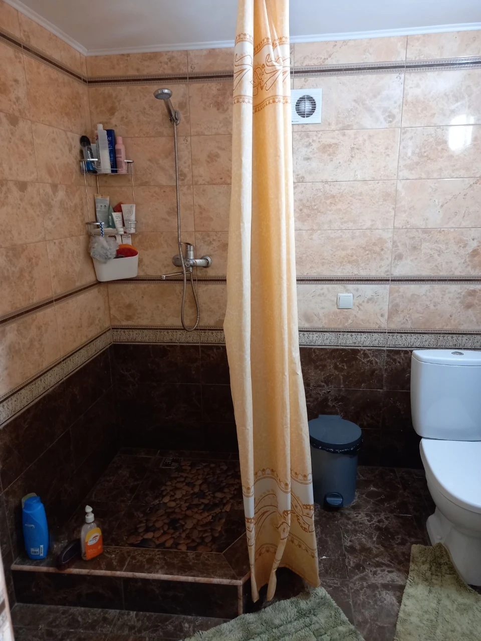 For Sale: House in Dnipro, near the river