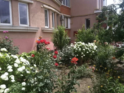 Apartment for Sale in Kyiv