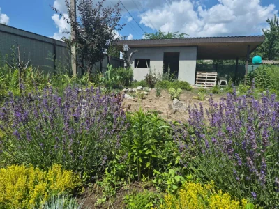 For Sale: Country House with Land of 6 Acres in the "Kras" Cooperative