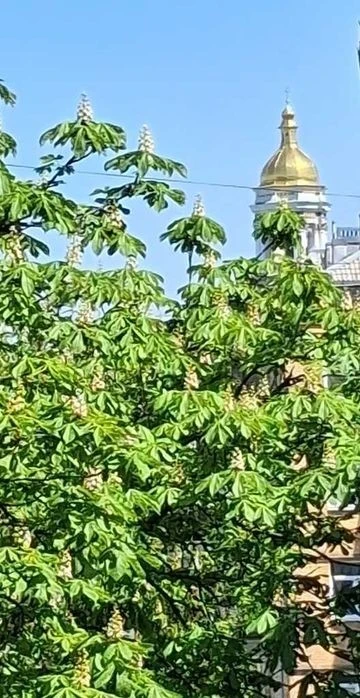 Продаж квартири Цитадельна Лейпцигзька Печерськ