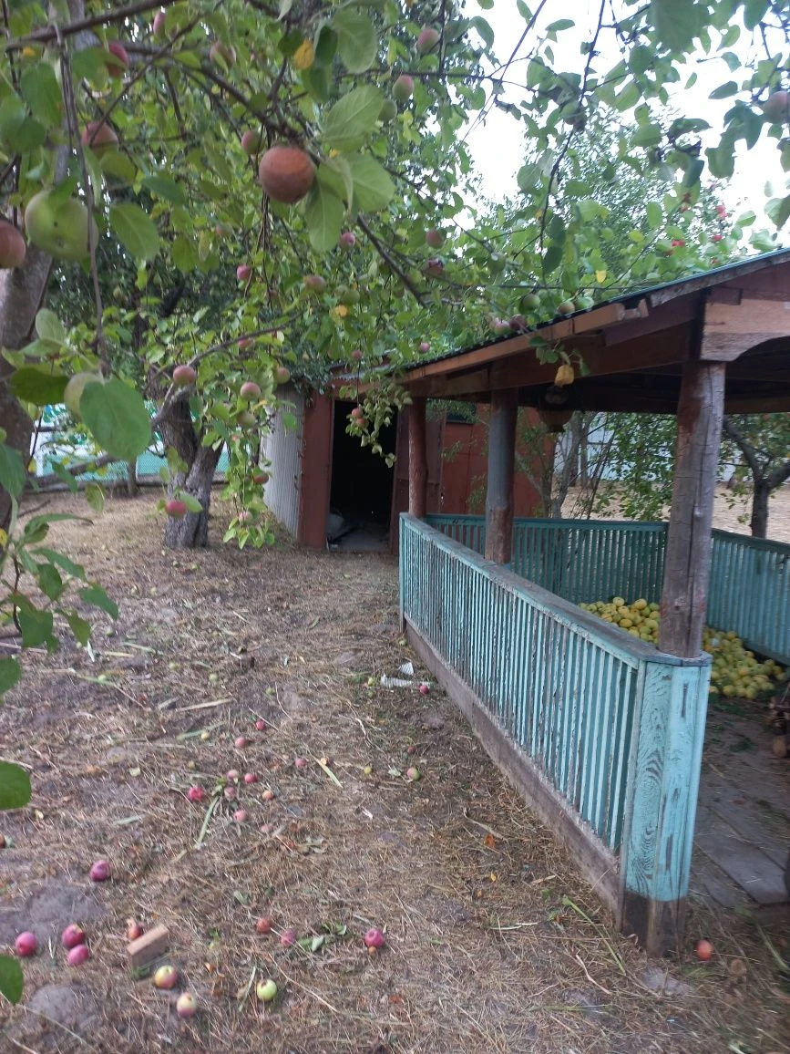 Продаю дачу в селе Комарівка