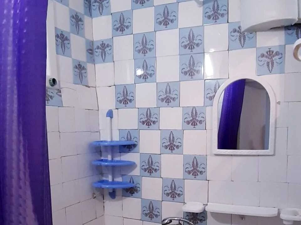 Apartment. Zhitomir, Pereomotyi st.