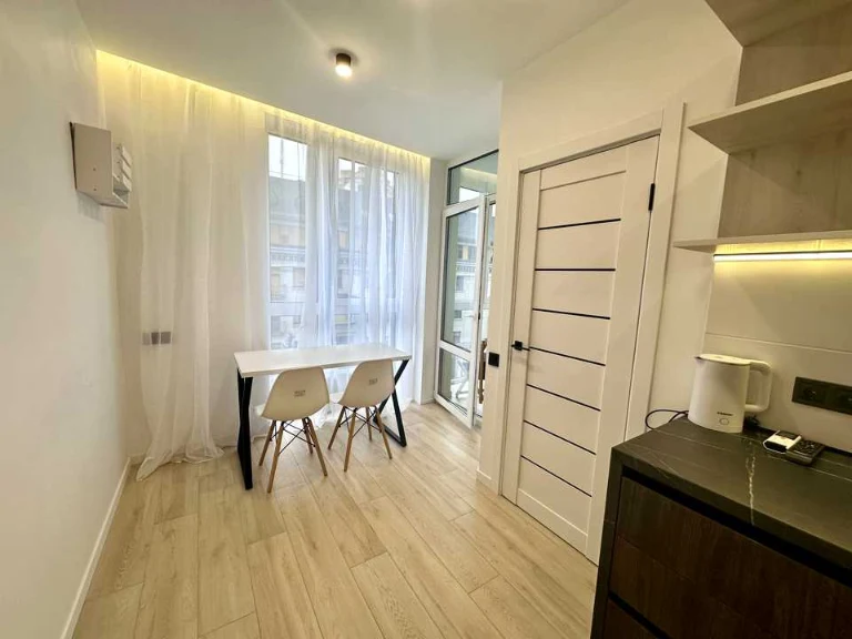 Apartment. Sholudenska st.