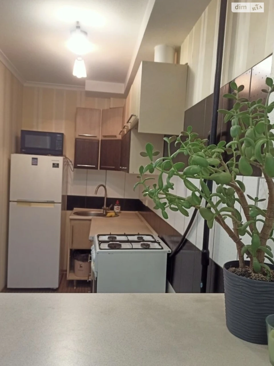 Long-Term Rental Apartment Lukyanivka