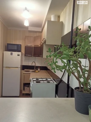 Long-Term Rental Apartment Lukyanivka