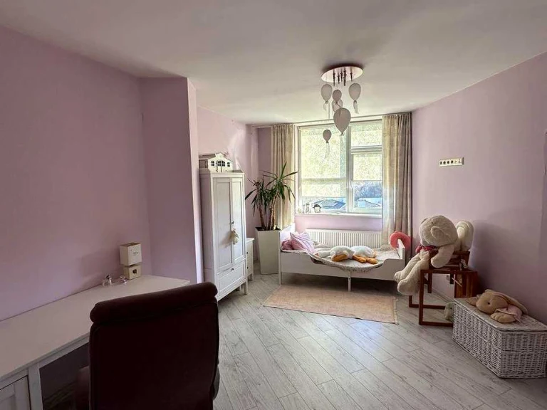 Apartment. Pasichna St., Lviv