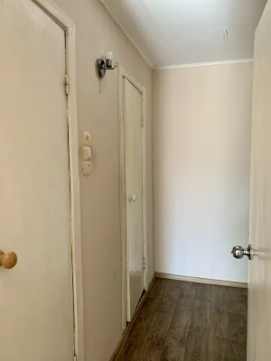 3-bedroom apartment, Mitznitsa