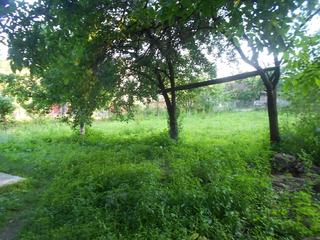 For Sale: 100 sq m House in Village Turiya Poliana, Zakarpattia, 25 km from Perechyn district center and 55 km from Uzhgorod Oblast center.
