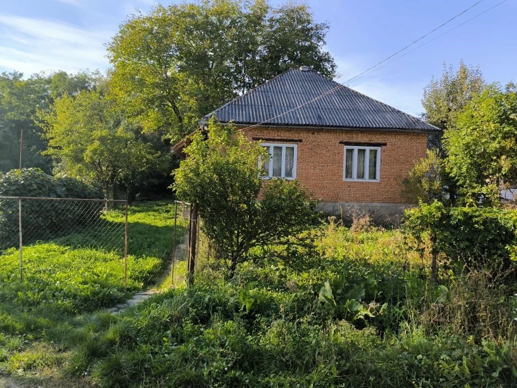 For Sale: 100 sq m House in Village Turiya Poliana, Zakarpattia, 25 km from Perechyn district center and 55 km from Uzhgorod Oblast center.