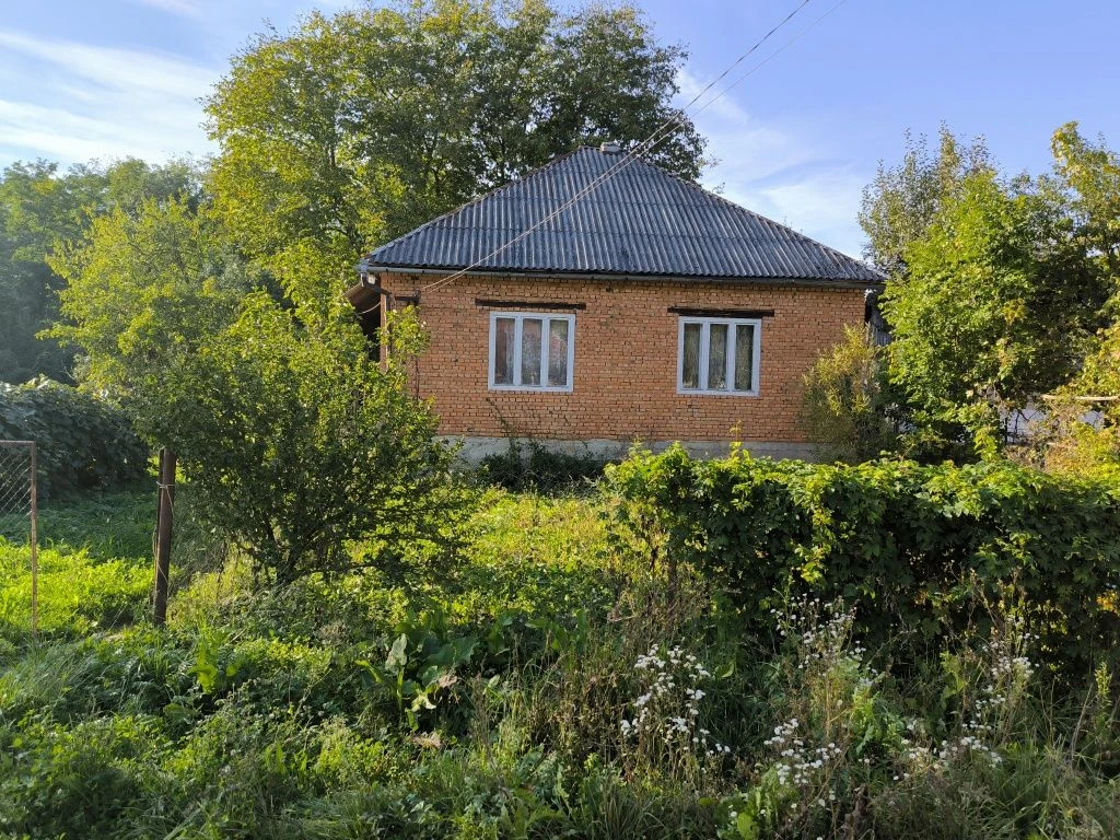 For Sale: 100 sq m House in Village Turiya Poliana, Zakarpattia, 25 km from Perechyn district center and 55 km from Uzhgorod Oblast center.