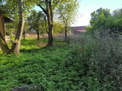 For Sale: 100 sq m House in Village Turiya Poliana, Zakarpattia, 25 km from Perechyn district center and 55 km from Uzhgorod Oblast center.