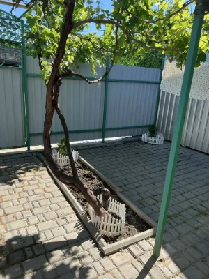 Продам квартиру с своим двором