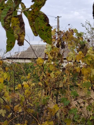 Продам будинок с.Іванівка! Топ місце!