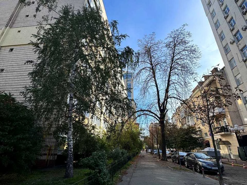 Квартира. Печерская ул.