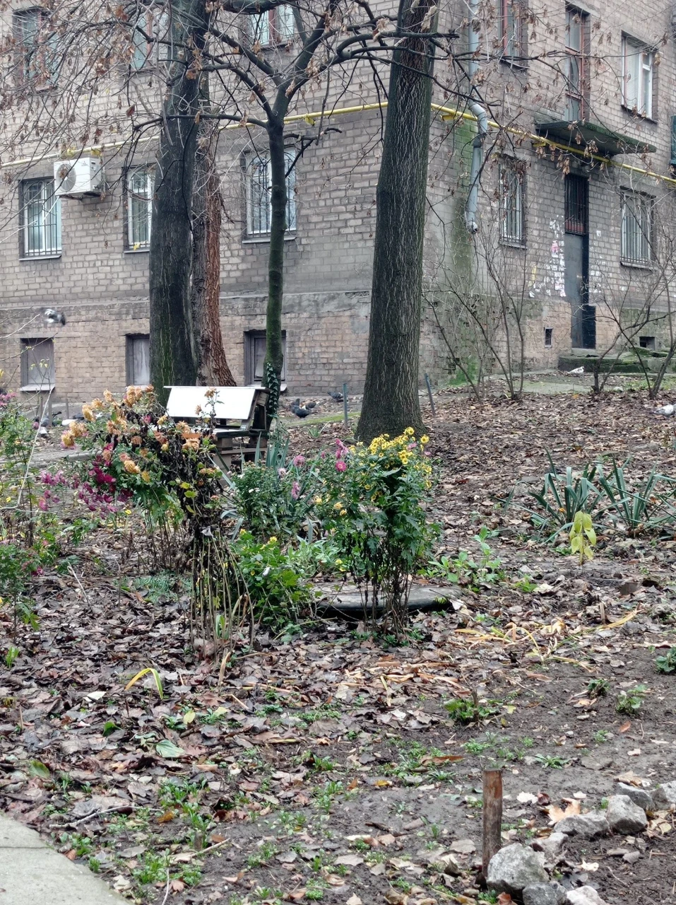Продається 3-кімнатна квартира в цегляному будинку на першому поверсі