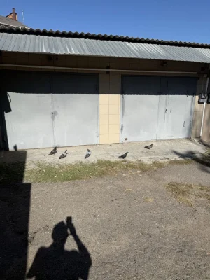 Garage for 2 cars in cooperative "Bugsky" - "Sukhoy Fontan"