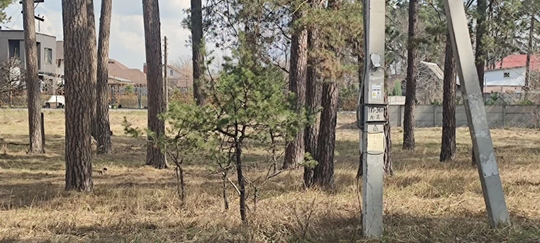 Продається участок в Пірнове, 15.5 соток
