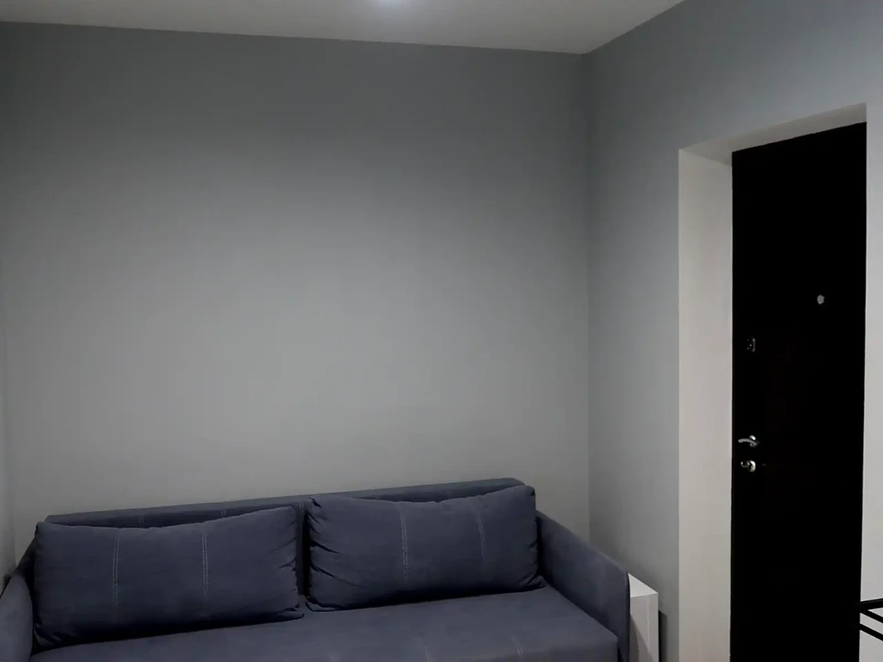 Rent 1-bedroom apartment 42 sq m, 24/25 floor