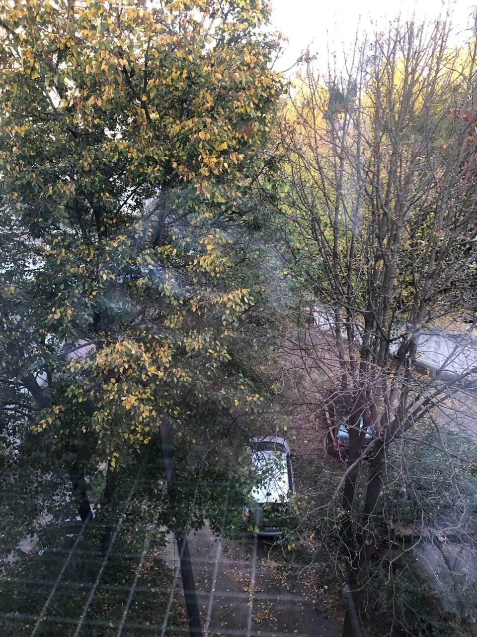 Apartment for Sale – Near Property