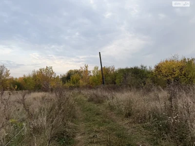 Продажа земельного участка под сельскохозяйственным использованием в Ракове