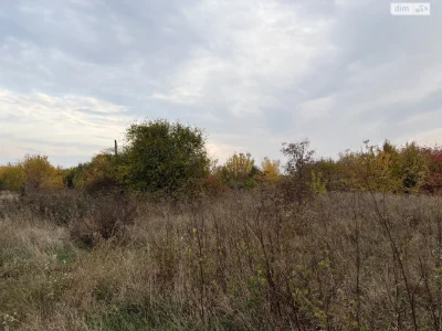 Продажа земли под сельскохозяйственным назначением