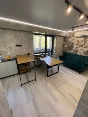 1 room apartment renovated, Right Bank, Dudykina 19A