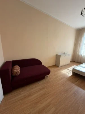 One-bedroom apartment in the city center
