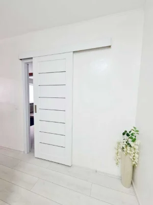 1-room apartment for sale on Pasichna Street