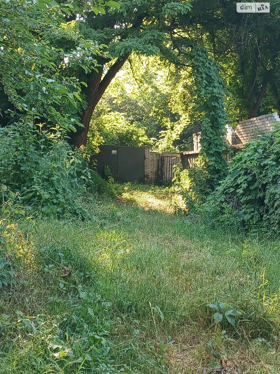 Long-Term Rental House in Solomyany