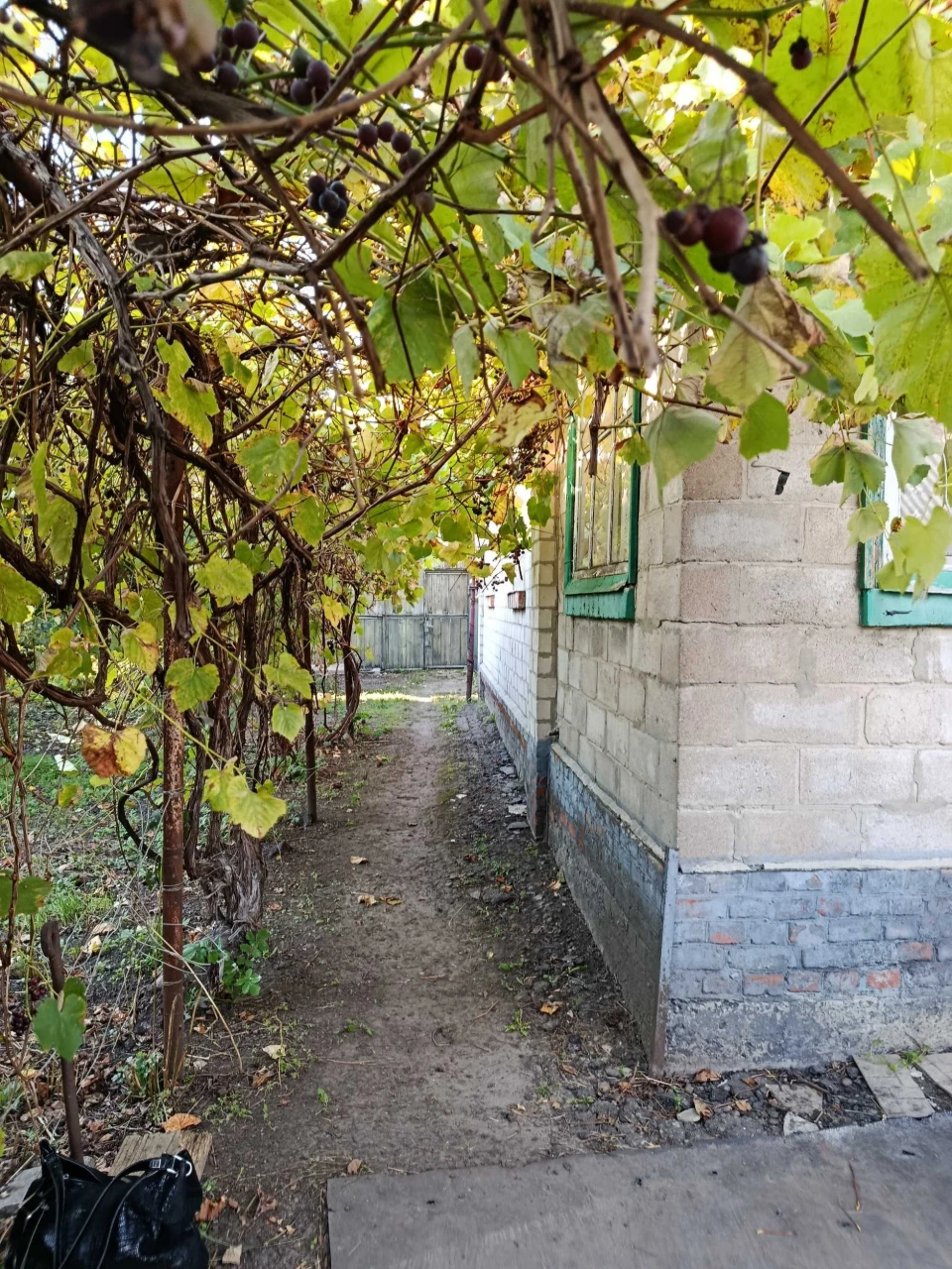 House for sale at "Khvilinka" station
