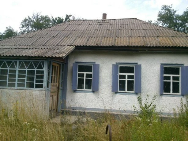 For sale, detached house in the village of Tinki, Черкаyska oblast