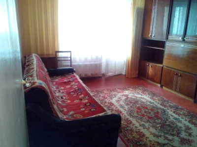 Квартира. Киев, улица Братьславская