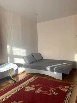 One-bedroom apartment for sale in a 42 sq m apartment with renovation on Kholodna Gora
