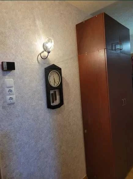 One-bedroom apartment for sale in a 42 sq m apartment with renovation on Kholodna Gora