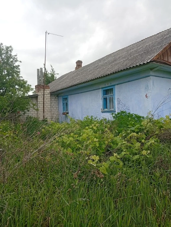 Sale of house in village Gluboka Dolina